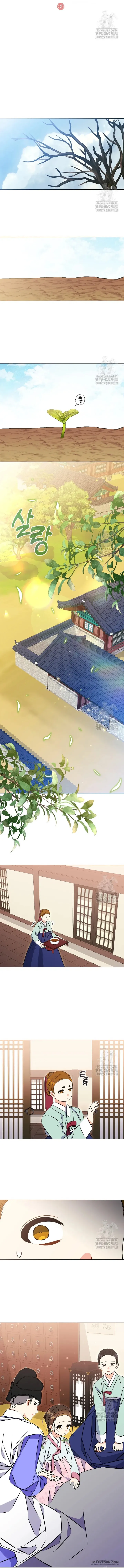 Tôi Sinh Ra Là Con Gái Của Một Cung Phi Hèn Mọn - Chap 36 - Trang 4