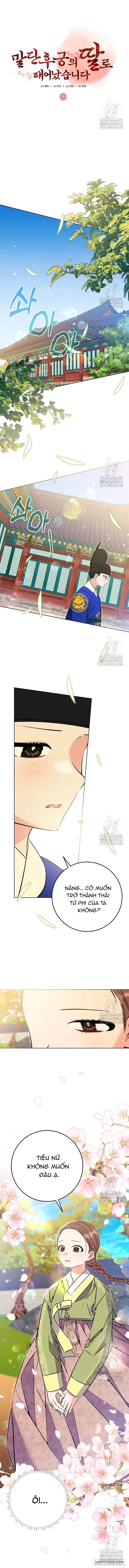 Tôi Sinh Ra Là Con Gái Của Một Cung Phi Hèn Mọn - Chap 39 - Trang 5
