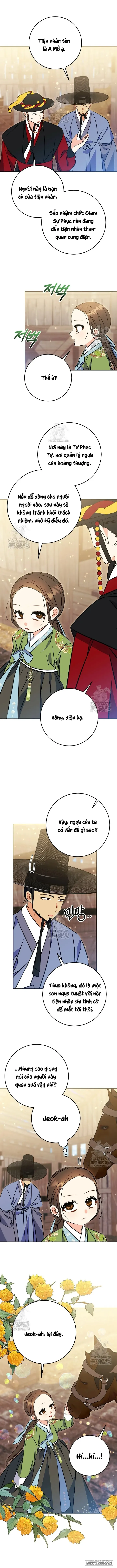 Tôi Sinh Ra Là Con Gái Của Một Cung Phi Hèn Mọn - Chap 45 - Trang 7