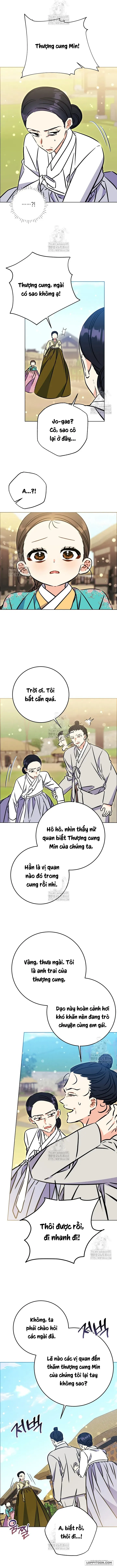 Tôi Sinh Ra Là Con Gái Của Một Cung Phi Hèn Mọn - Chap 56 - Trang 8