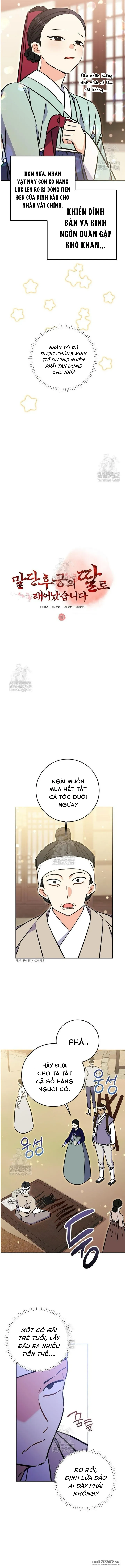 Tôi Sinh Ra Là Con Gái Của Một Cung Phi Hèn Mọn - Chap 61 - Trang 3