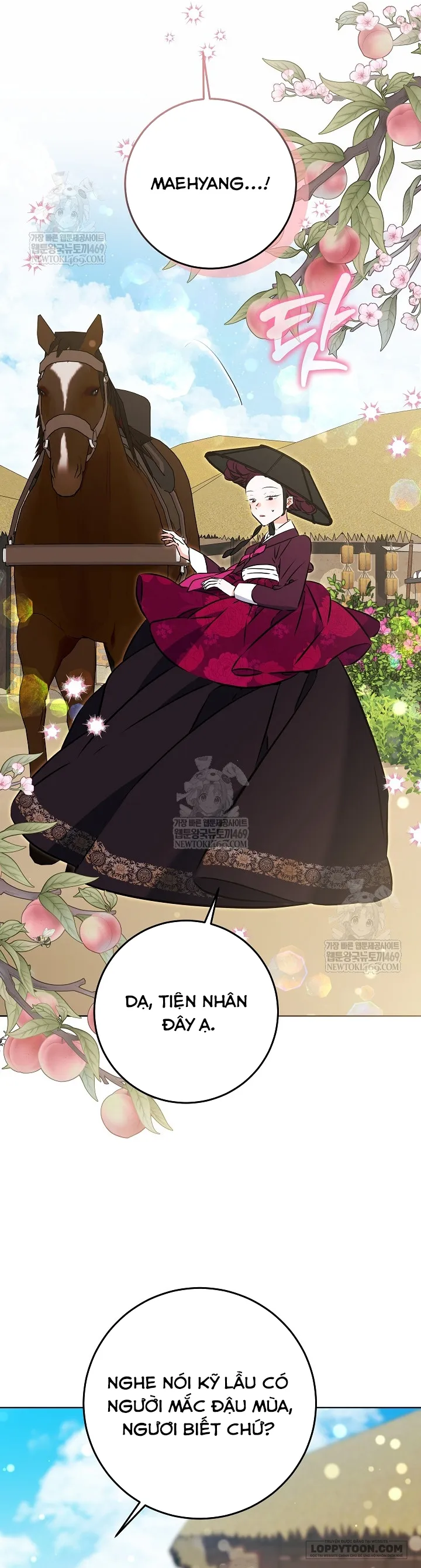 Tôi Sinh Ra Là Con Gái Của Một Cung Phi Hèn Mọn - Chap 71 - Trang 10