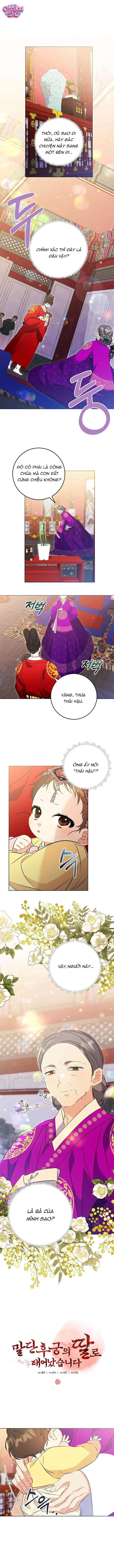 Tôi Sinh Ra Là Con Gái Của Một Thứ Phi Thấp Hèn - Chap 9 - Trang 2
