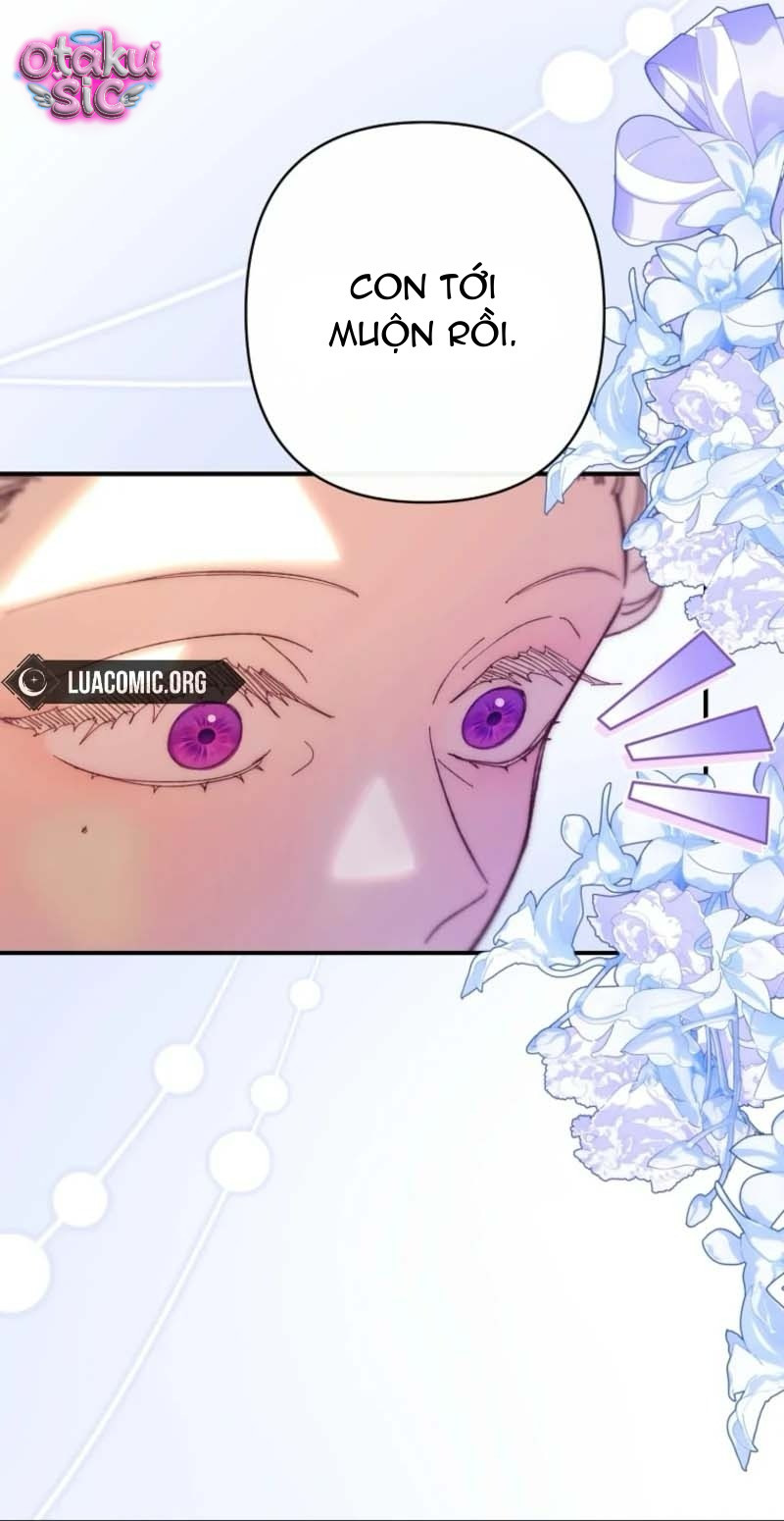Tôi Vờ Mang Thai Nhưng Chồng Lại Quay Về - Chap 31 - Trang 36
