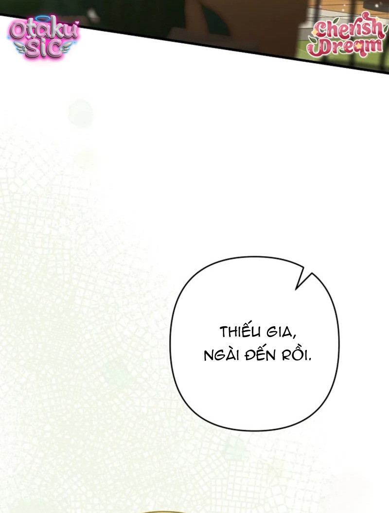 Tôi Vờ Mang Thai Nhưng Chồng Lại Quay Về - Chap 9 - Trang 3