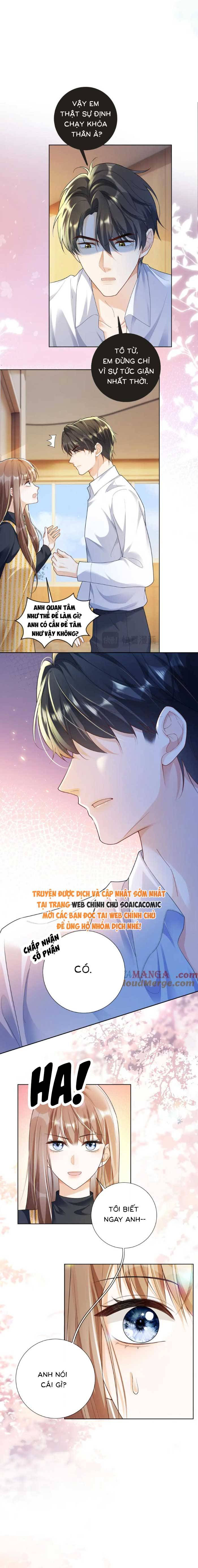 Tổng Tài Tỷ Phú Chỉ Sủng Cô Vợ Thế Thân - Chap 75 - Trang 2
