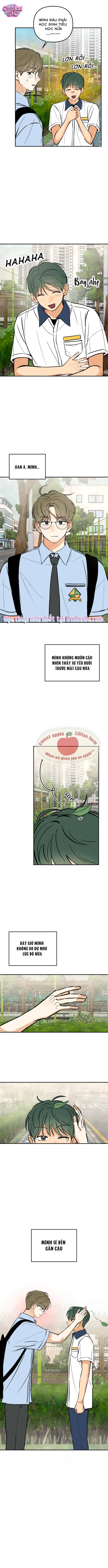 Top dog Kim Jian - Chap 14 - Trang 5