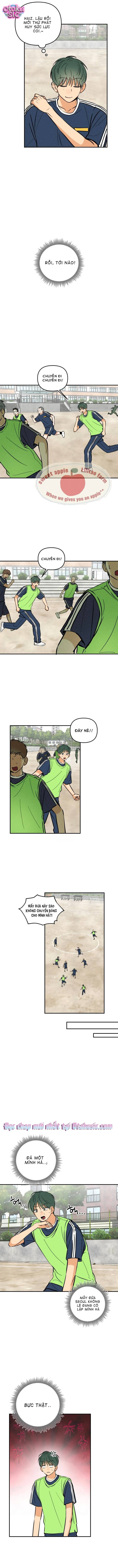 Top dog Kim Jian - Chap 14 - Trang 9