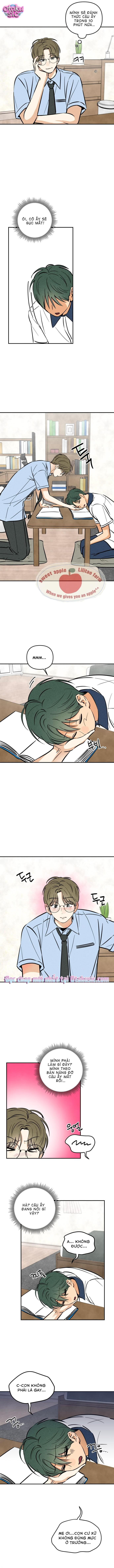 Top dog Kim Jian - Chap 15 - Trang 8