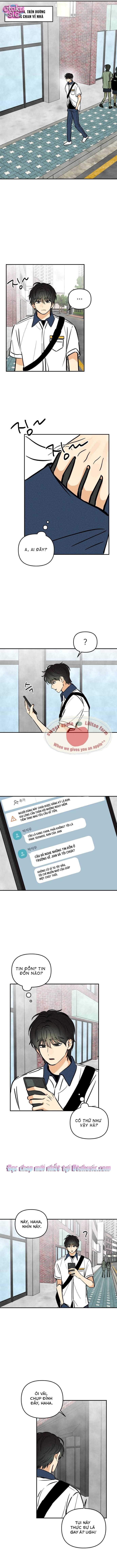 Top dog Kim Jian - Chap 16 - Trang 5