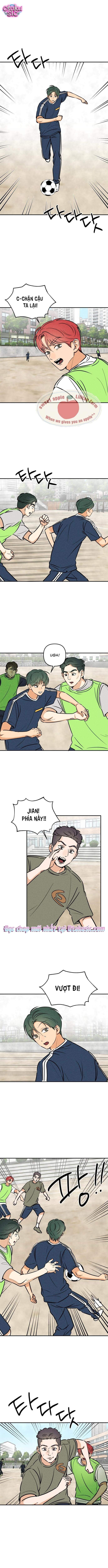 Top dog Kim Jian - Chap 17 - Trang 6