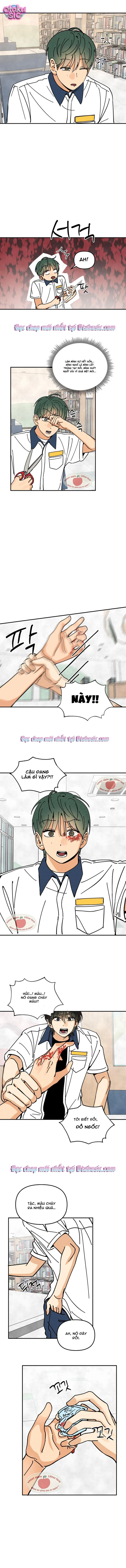 Top dog Kim Jian - Chap 7 - Trang 8