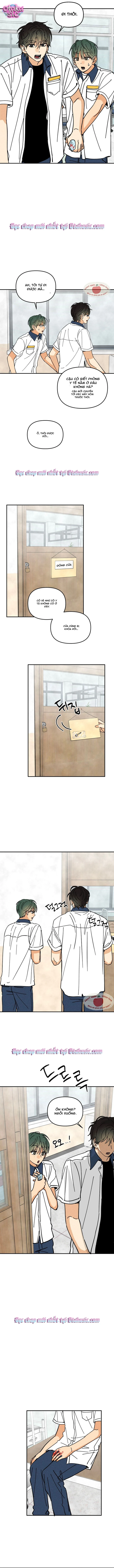 Top dog Kim Jian - Chap 7 - Trang 9