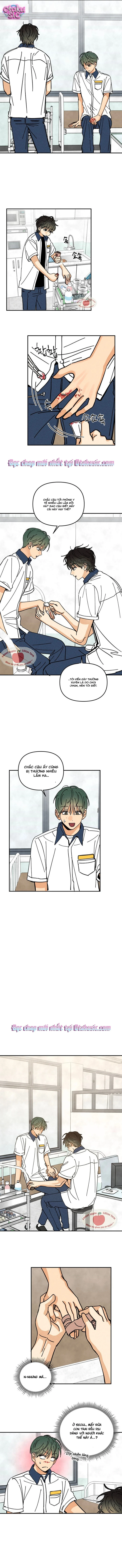 Top dog Kim Jian - Chap 7 - Trang 10