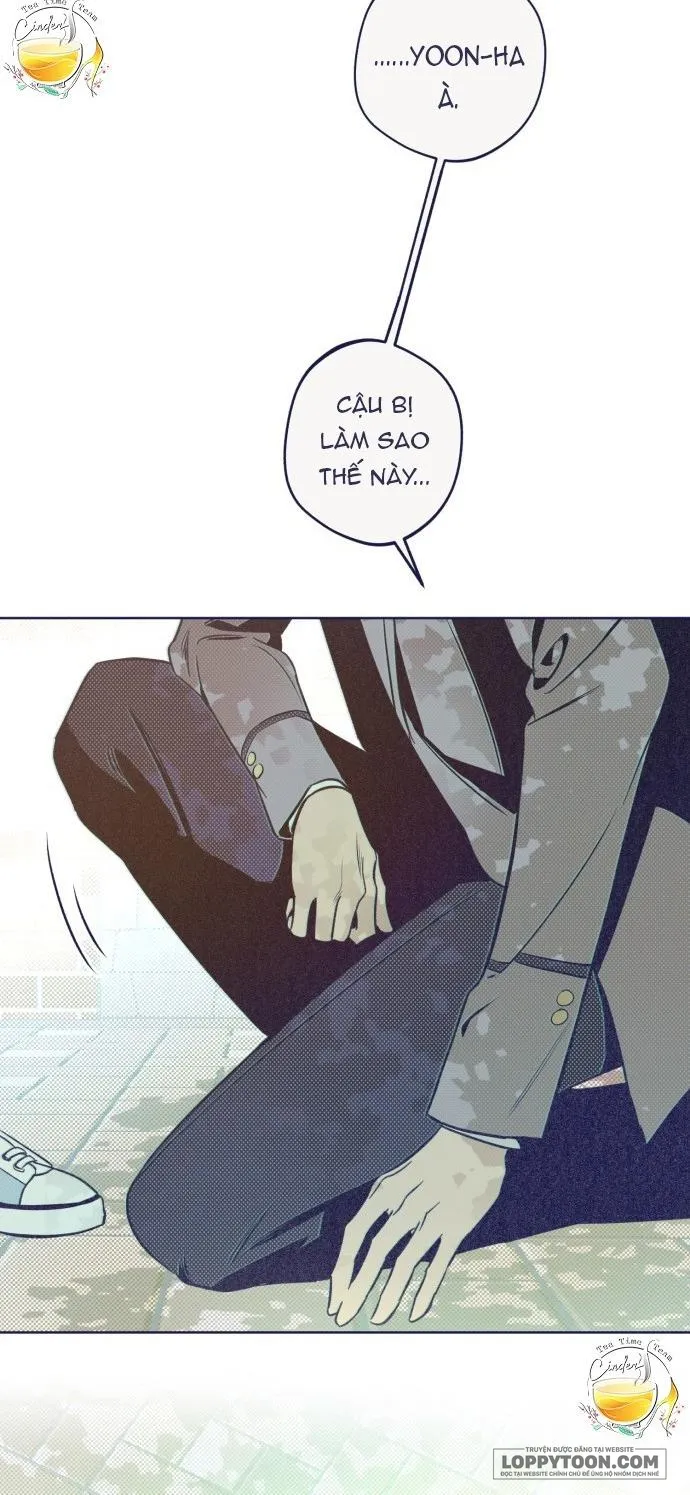Trắc Nghiệm 4 Lựa Chọn - Chap 15 - Trang 24