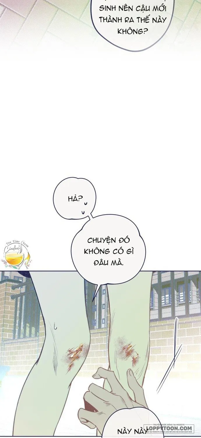 Trắc Nghiệm 4 Lựa Chọn - Chap 15 - Trang 26