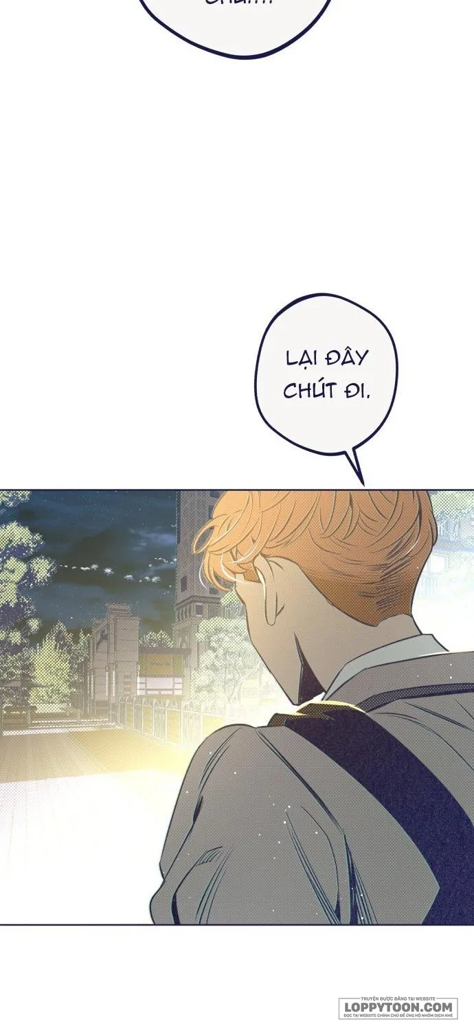 Trắc Nghiệm 4 Lựa Chọn - Chap 15 - Trang 29