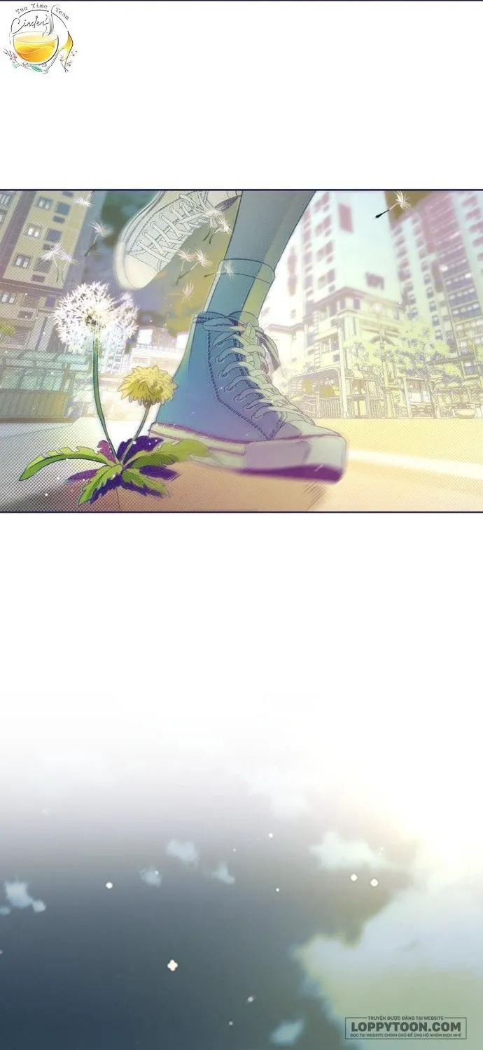Trắc Nghiệm 4 Lựa Chọn - Chap 15 - Trang 94