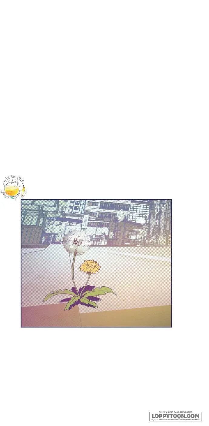 Trắc Nghiệm 4 Lựa Chọn - Chap 16 - Trang 3