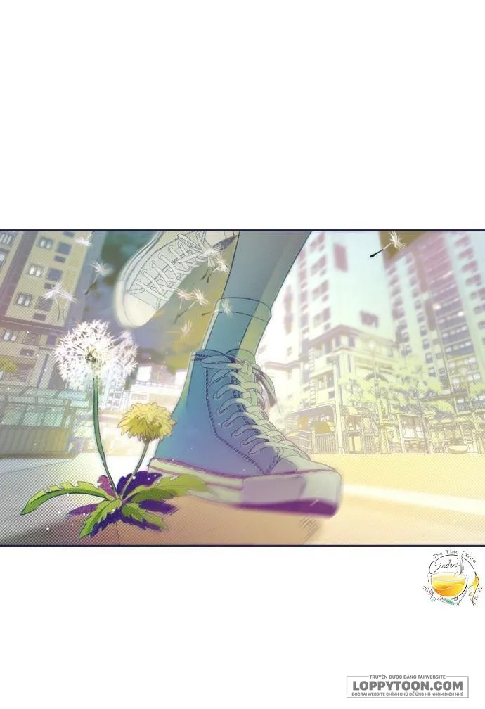 Trắc Nghiệm 4 Lựa Chọn - Chap 16 - Trang 4