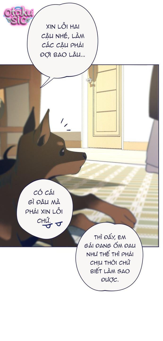 Trắc Nghiệm 4 Lựa Chọn - Chap 31 - Trang 51