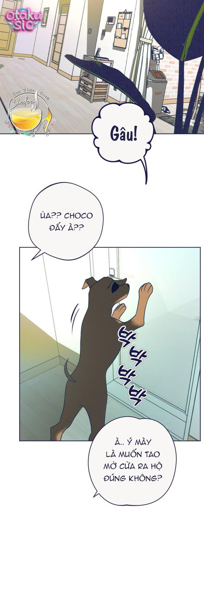 Trắc Nghiệm 4 Lựa Chọn - Chap 33 - Trang 48