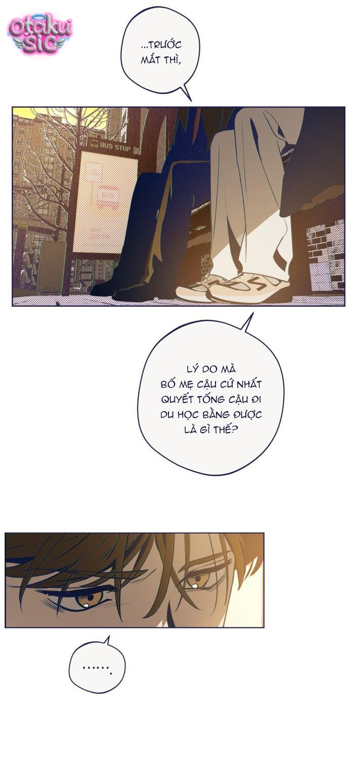 Trắc Nghiệm 4 Lựa Chọn - Chap 35 - Trang 16