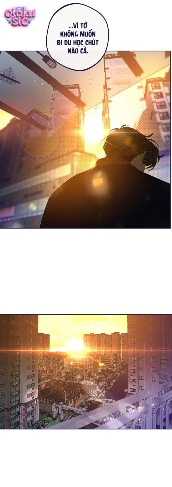 Trắc Nghiệm 4 Lựa Chọn - Chap 35 - Trang 5