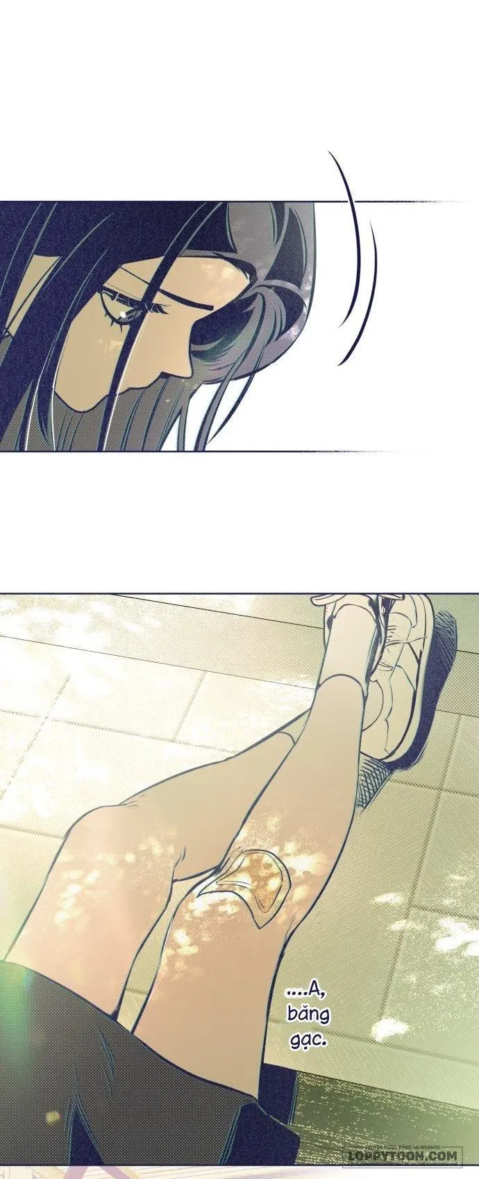 Trắc Nghiệm 4 Lựa Chọn - Chap 4 - Trang 24