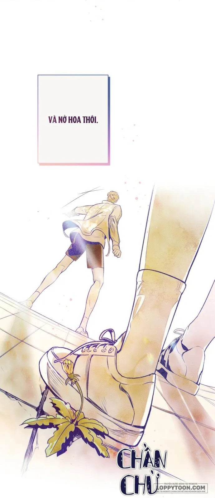 Trắc Nghiệm 4 Lựa Chọn - Chap 8 - Trang 39