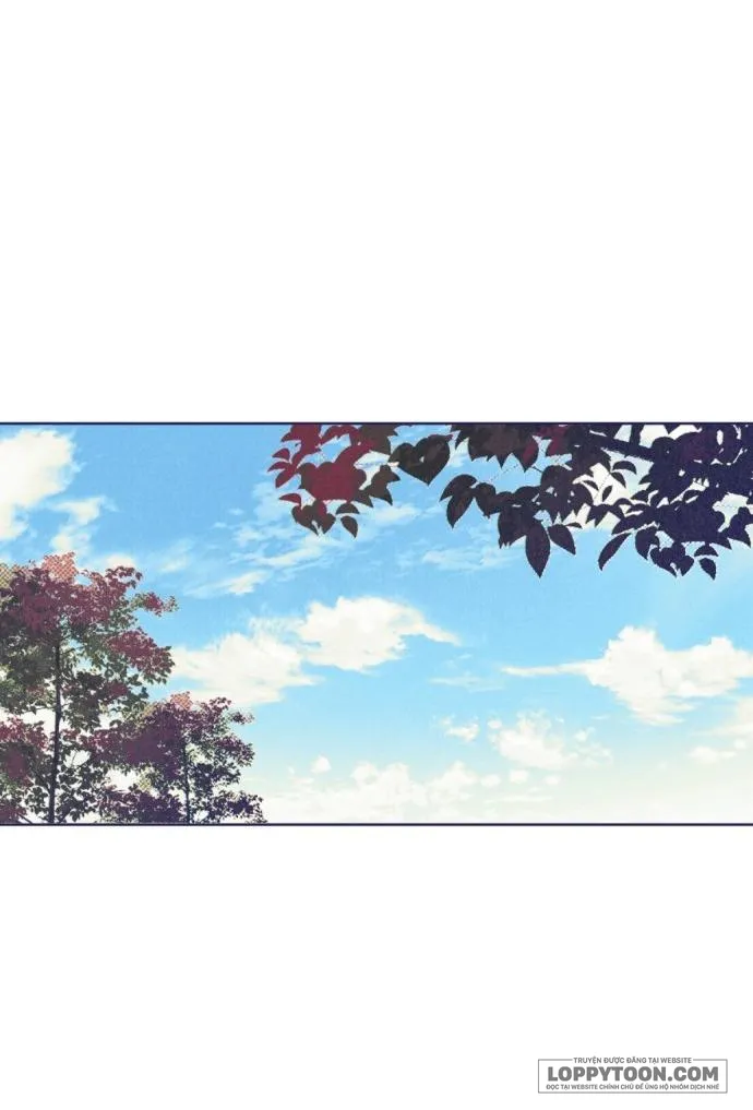 Trắc Nghiệm 4 Lựa Chọn - Chap 8 - Trang 47