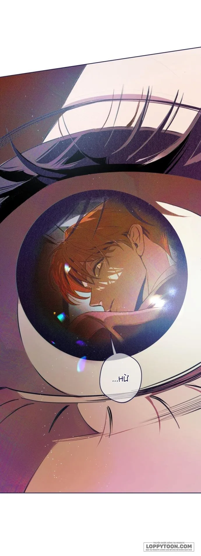 Trắc Nghiệm 4 Lựa Chọn - Chap 8 - Trang 70