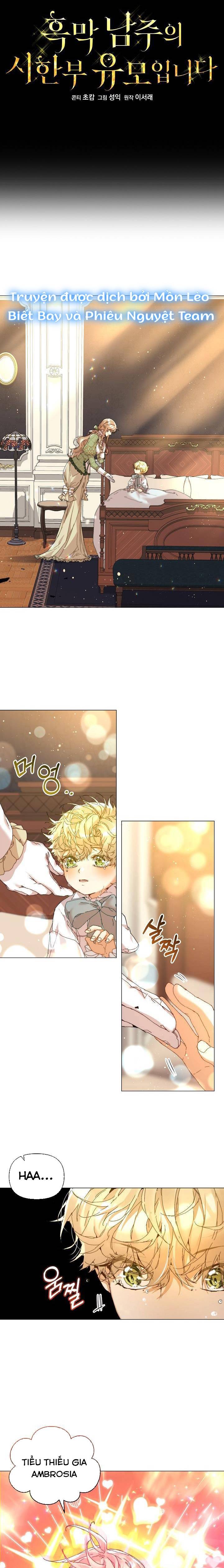 Trở Thành Bảo Mẫu Mắc Bệnh Nan Y Của Nam Chính Hắc Ám - Chap 3 - Trang 13
