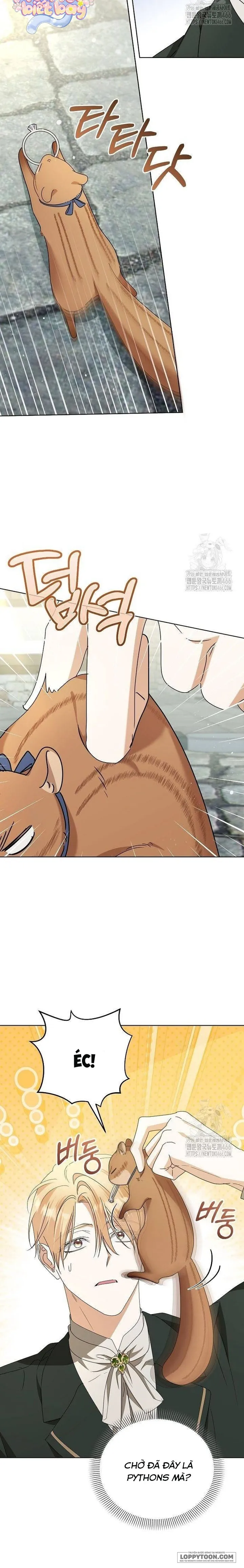 Trở Thành Con Gái Nuôi Của Gia Tộc Sát Thủ - Chap 57 - Trang 12