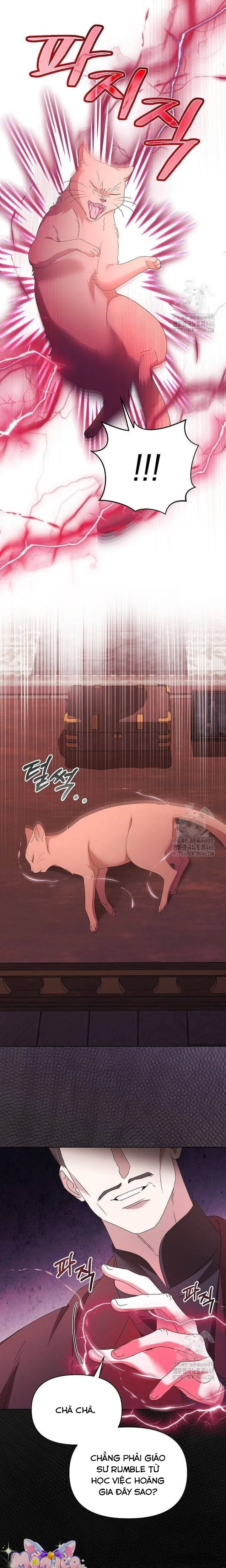 Trở Thành Con Gái Nuôi Của Gia Tộc Sát Thủ - Chap 59 - Trang 5