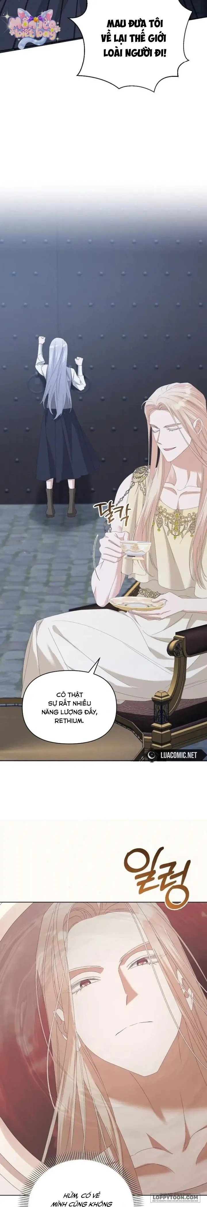 Trở Thành Con Gái Nuôi Của Gia Tộc Sát Thủ - Chap 74 - Trang 2