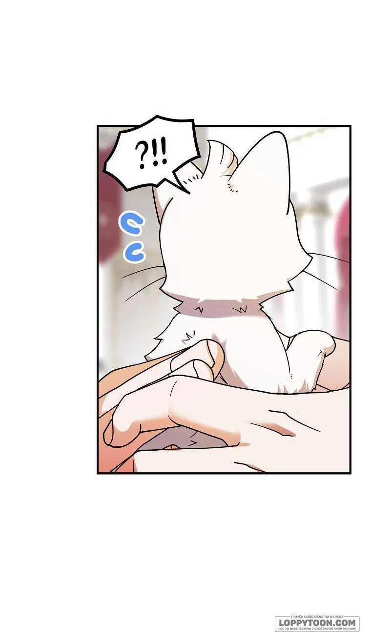 Trở Thành Miêu Nữ Của Hoàng Đế - Chap 1 - Trang 16