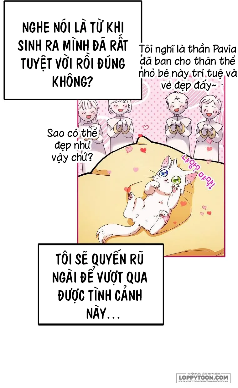 Trở Thành Miêu Nữ Của Hoàng Đế - Chap 1 - Trang 20