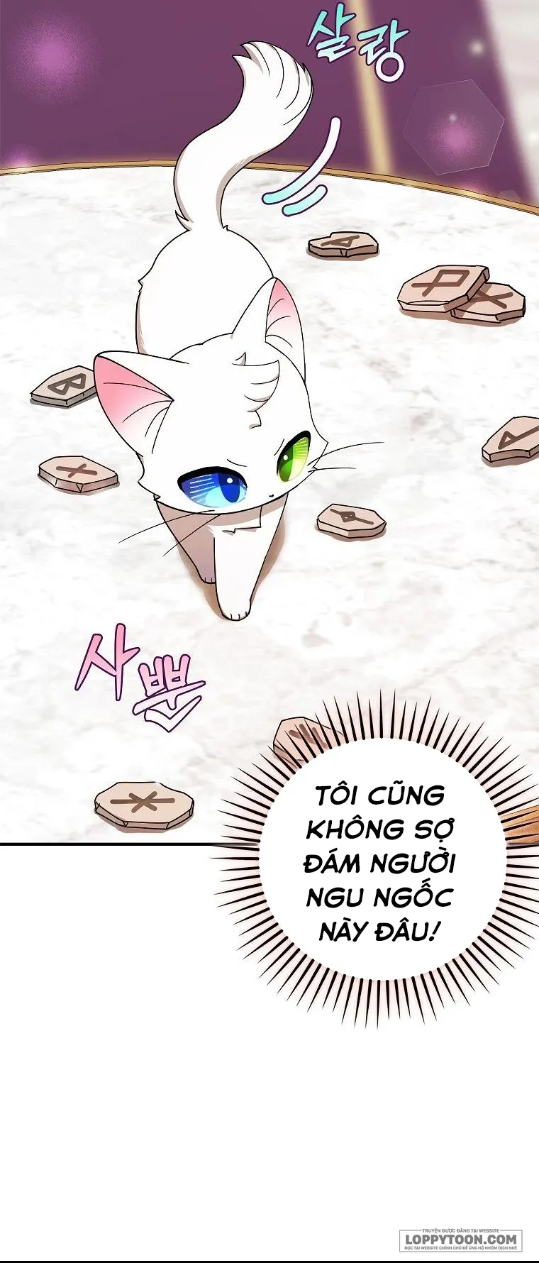 Trở Thành Miêu Nữ Của Hoàng Đế - Chap 1 - Trang 26