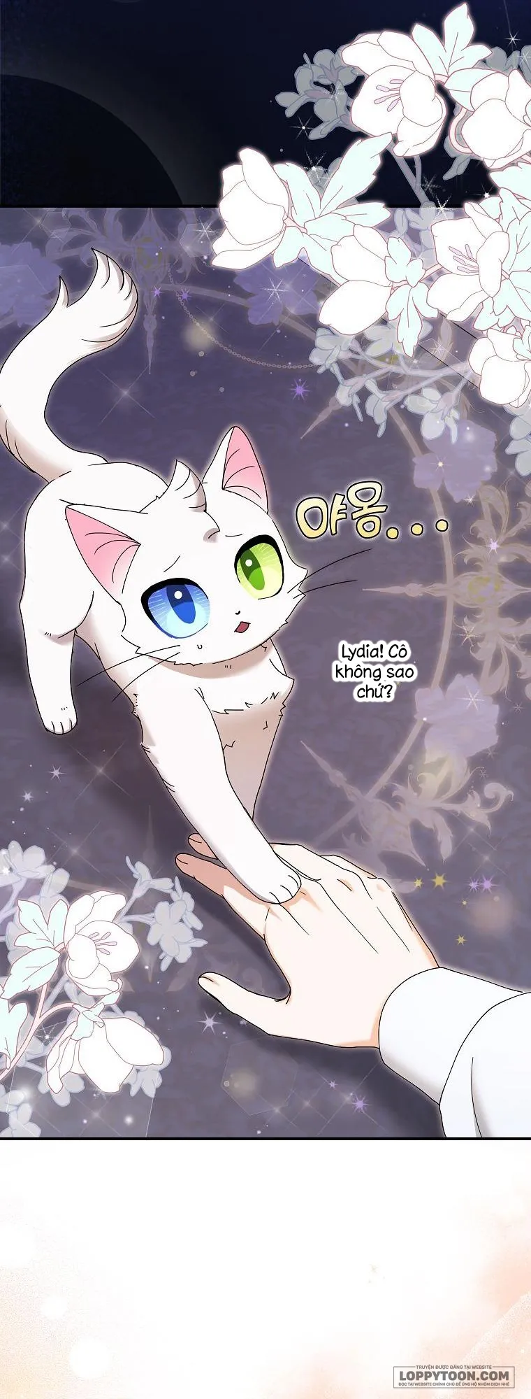 Trở Thành Miêu Nữ Của Hoàng Đế - Chap 10 - Trang 54