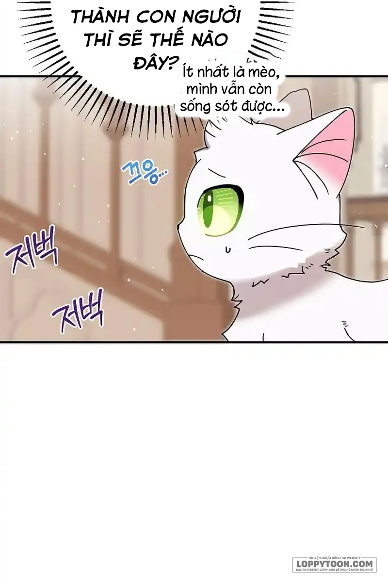 Trở Thành Miêu Nữ Của Hoàng Đế - Chap 13 - Trang 46