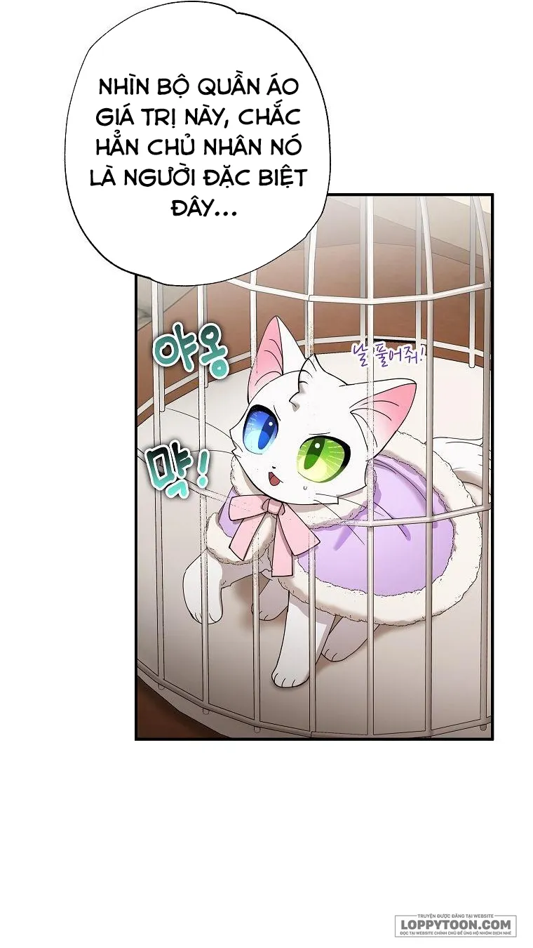 Trở Thành Miêu Nữ Của Hoàng Đế - Chap 15 - Trang 13