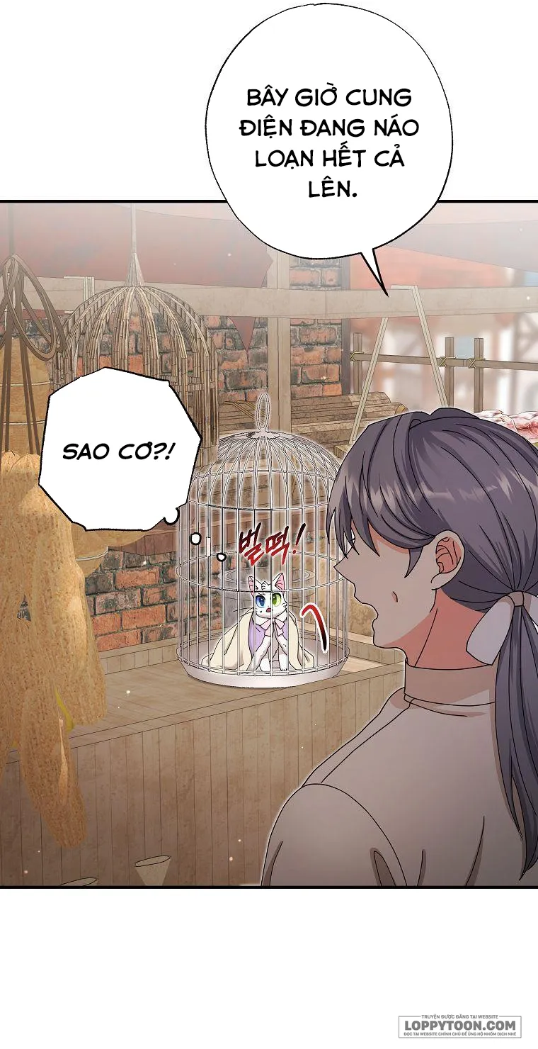 Trở Thành Miêu Nữ Của Hoàng Đế - Chap 15 - Trang 19