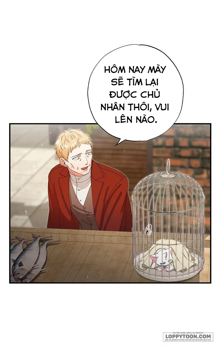 Trở Thành Miêu Nữ Của Hoàng Đế - Chap 15 - Trang 35