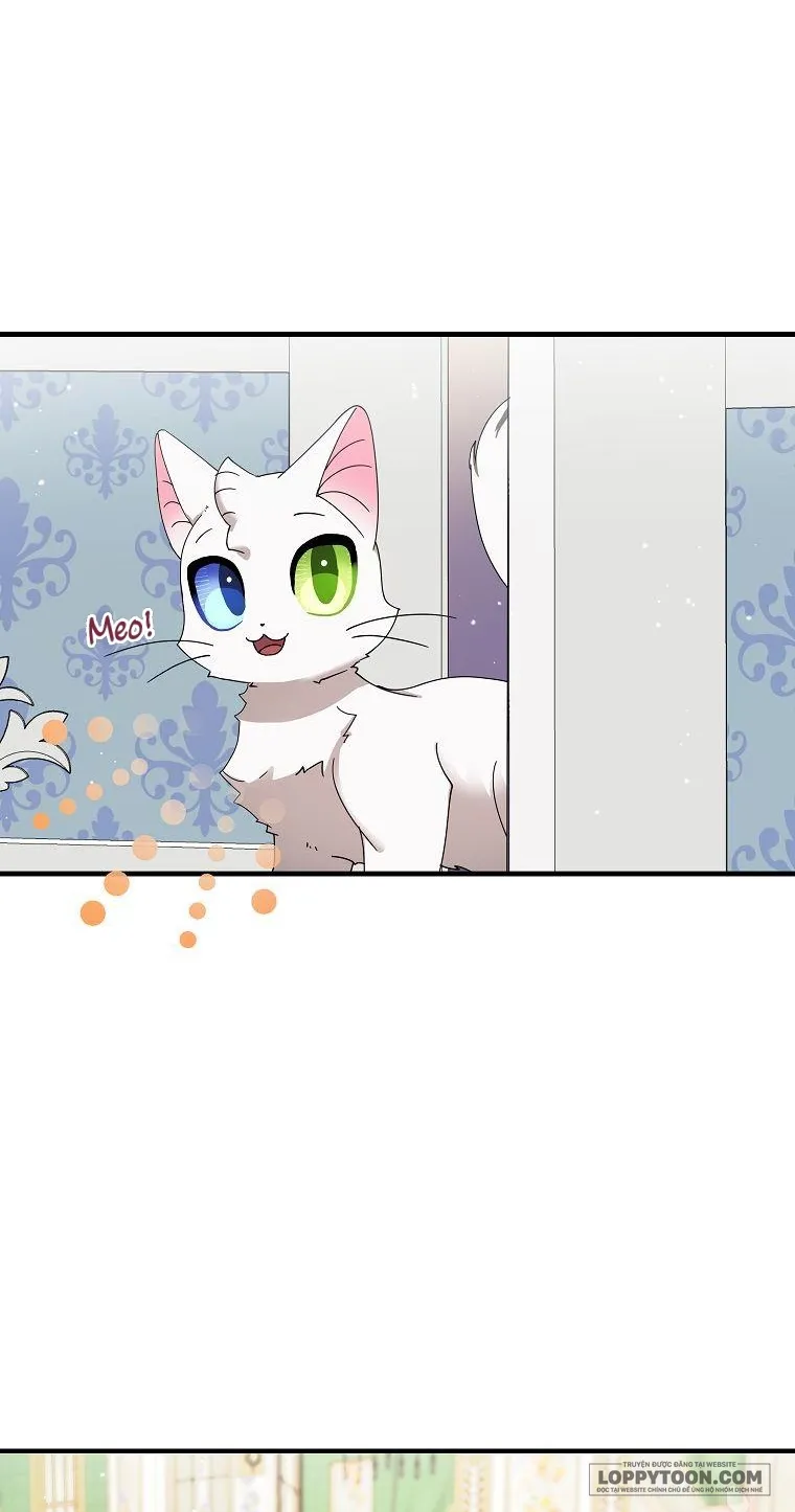 Trở Thành Miêu Nữ Của Hoàng Đế - Chap 17 - Trang 21