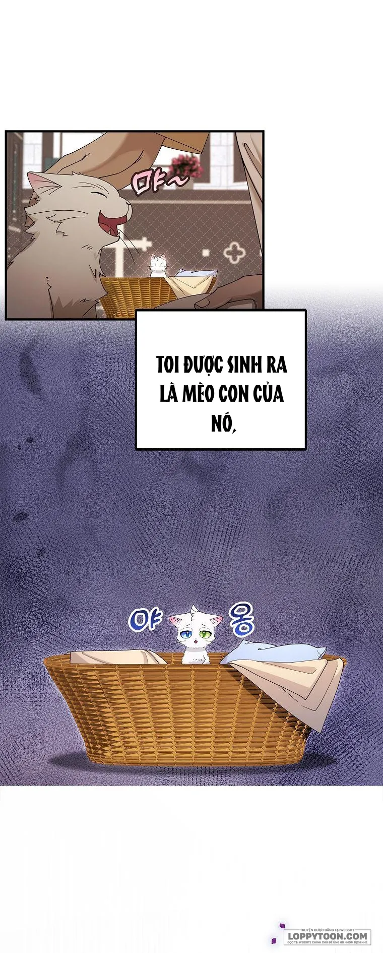 Trở Thành Miêu Nữ Của Hoàng Đế - Chap 2 - Trang 14