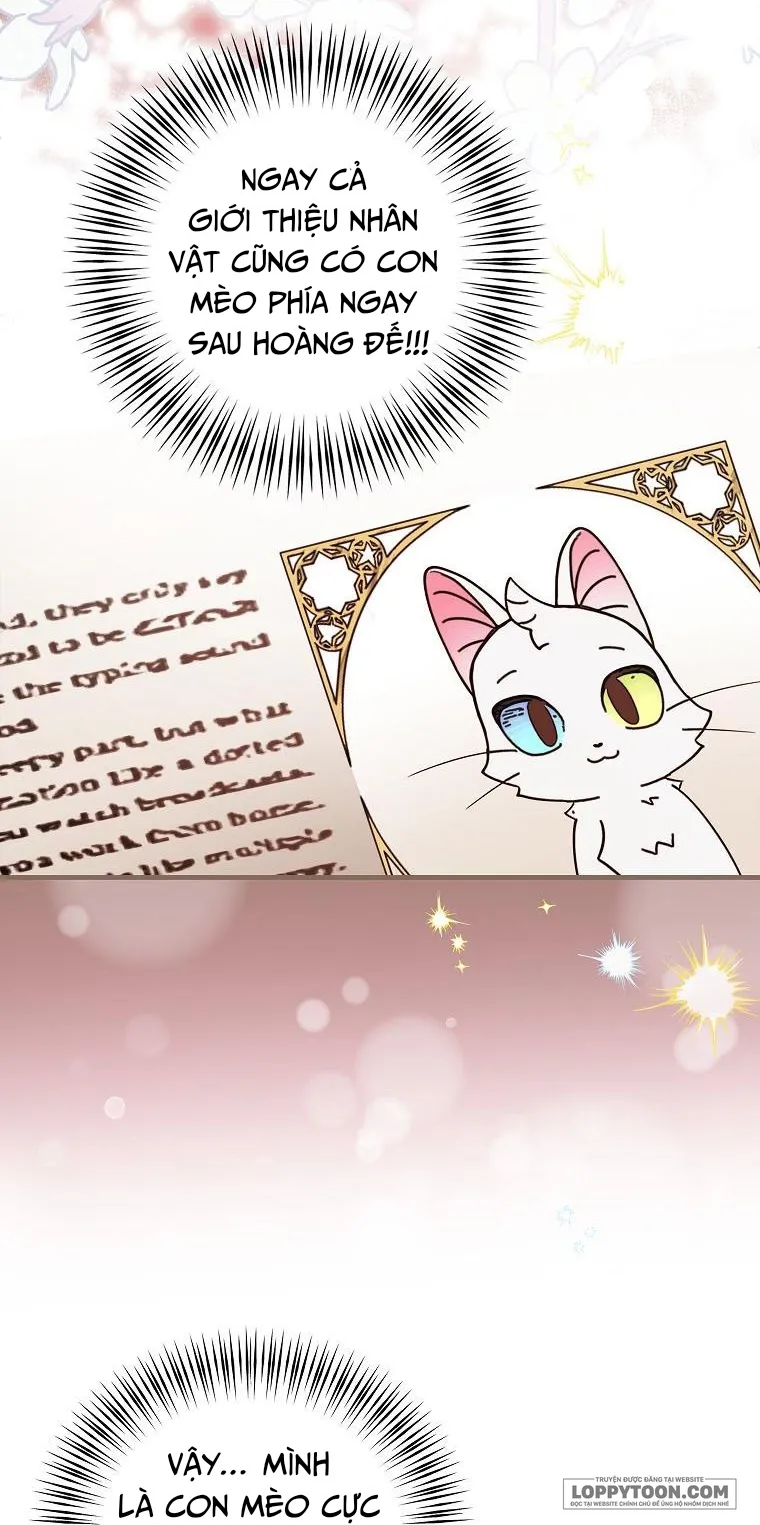 Trở Thành Miêu Nữ Của Hoàng Đế - Chap 2 - Trang 19