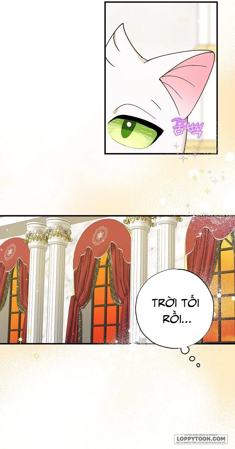 Trở Thành Miêu Nữ Của Hoàng Đế - Chap 2 - Trang 27