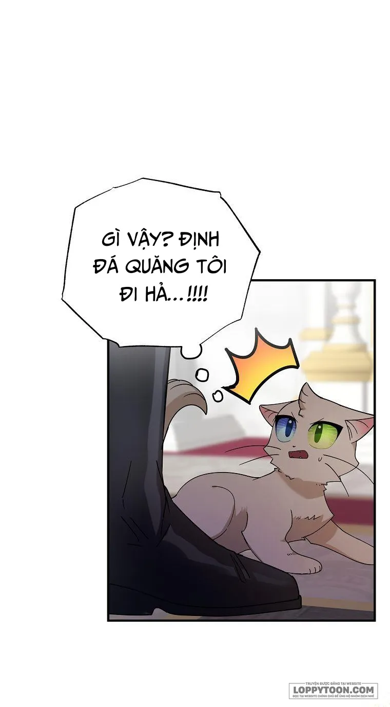 Trở Thành Miêu Nữ Của Hoàng Đế - Chap 2 - Trang 34