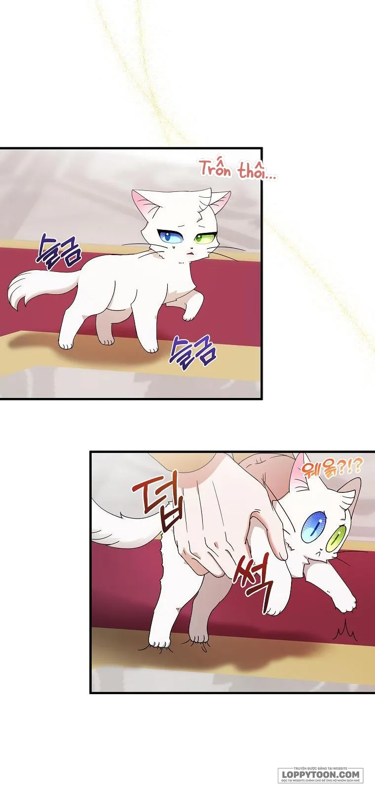 Trở Thành Miêu Nữ Của Hoàng Đế - Chap 2 - Trang 36